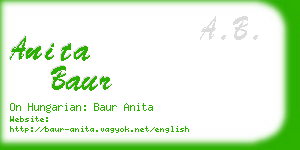 anita baur business card